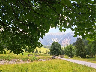 Lush Green Landscape Framed by Trees With Majestic Mountains in the Background on a Sunny Day