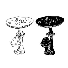 Line sketch, silhouette stamp of forest mushrooms fly agarics. Vector graphics.