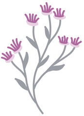 pink and white flowers