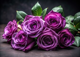 Naklejka premium Luxurious purple roses with delicate petals and lush green leaves are artfully arranged on a mysterious dark background, evoking romance and sophistication.