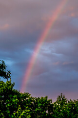 Bright rainbow in the blue sky after the rain 