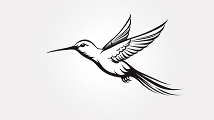 Fototapeta premium bird