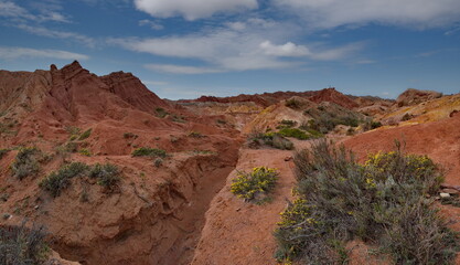 Northern Kyrgyzstan. The unusual texture of red-yellow clay rocks in the famous Skazka Canyon, off the coast of Lake Issyk-Kul.