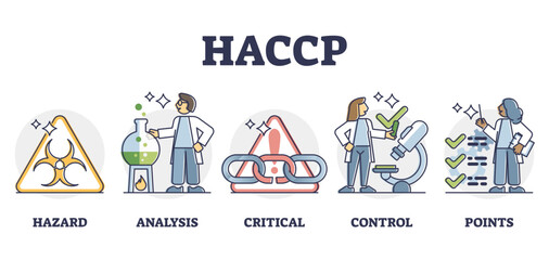 HACCP food safety preventive analysis and control system, outline diagram, transparent background. Bacteria hazard monitoring and critical hygiene requirement points.
