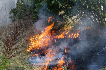 Forest and steppe fires dry completely destroy the fields and steppes during a severe drought....