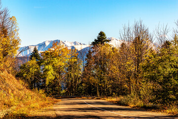 Road to snowy peaks in the Caucasus mountains