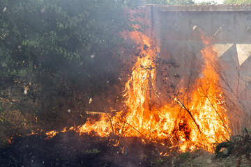 Forest and steppe fires dry completely destroy the fields and steppes during a severe drought....