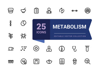 Metabolism Set Line Icon. Nutrition and Health Concept Linear Icon. Weight Control and Body Care Outline Icon. Isolated Vector Illustration.