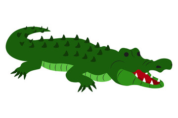 Beautiful wildlife cartoon Animal of cute alligator vector illustration isolated on white background