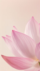 Fototapeta premium Close-Up Delicate Pink Lotus Flower Petals 