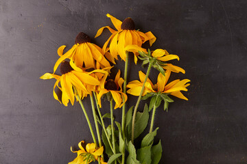 Aesthetic dry wild flowers on rustic battered black background