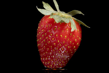 A Partially Thawed Strawberry Showing a Mix of Frost and Moisture on Its Surface, Highlighting the...