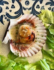 Comida del mar en concha.