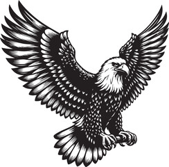 Obraz premium Eagle isolated on white vector illustration