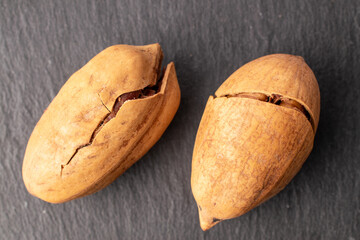 Two unshelled pecan nuts on slate stone, macro, top view.