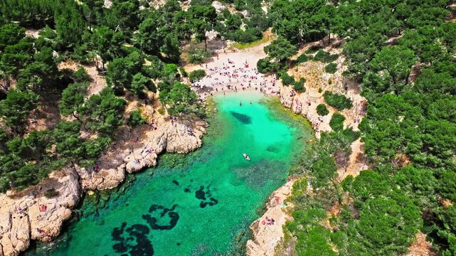 Aerial view of Natural area with rock formations, turquoise water beach in France. Calanque de Port Pin beach in the eastern calanque between Marseille and Cassis.

