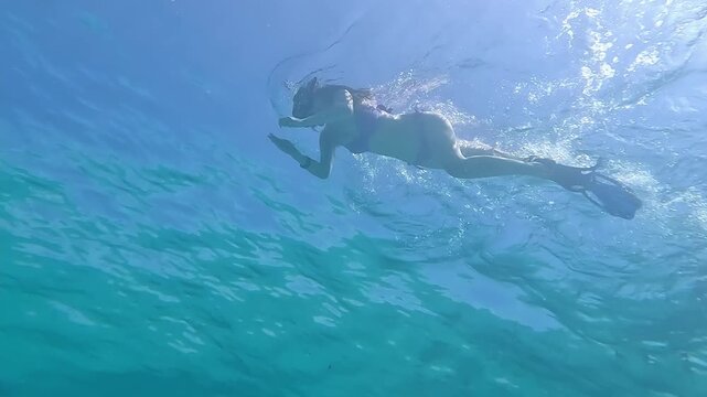 Snorkeling in the Red Sea. A girl in a swimsuit, fins and an underwater mask swims in the sea near a coral reef. Various schools of fish for diving and freediving at the seaside resorts of Egypt.