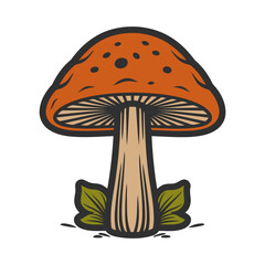 illustration of mushroom