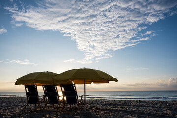 Umbrellas and Beach Chairs in the Sand at the Ocean