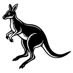 kangaroo illustration