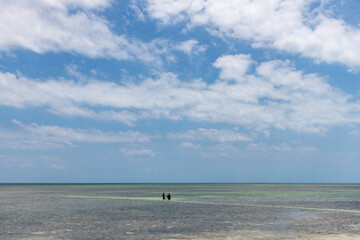 Panoramic view over the ocean in front of Veterans Memorial Beach, Big Pine Key, FL, USA with people walking in shallow water with blue sky and wide horizon