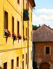 Widok na zabytkową kamienicę. Piękne pelargonie rosną na oknach zabytkowego budynku. Pelargonie na oknie, stare okna i widok na niebo. © Adam