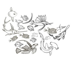 Hand drawn sketch illustration with fish. Wildanimal vector. Restaurant food card for seafood menu.