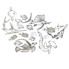 Hand drawn sketch illustration with fish. Wildanimal vector. Restaurant food card for seafood menu.