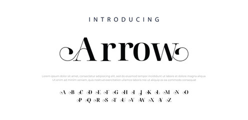 Arrow Elegant alphabet letters font and number. Classic Lettering Minimal Fashion Designs. Typography modern serif fonts and numbers. vector illustration