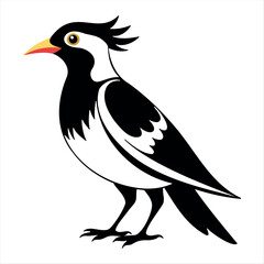 Vector Illustration Silhouette Beautiful Birds collection isolated on a white background