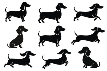 Dachshund Dog collection silhouette black vector on white background