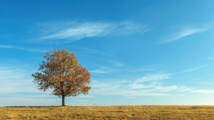 Lonely tree in sparse foliage against vast blue autumn sky in vertical scene