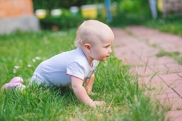 Baby Crawling on Green Grass in a Yard on a Sunny Day