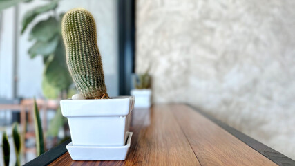 A close-up view of a cactus in a white pot, placed on a wooden surface, adding a touch of greenery...