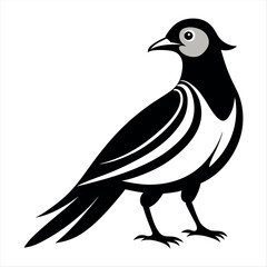 Vector Illustration Silhouette Beautiful Birds collection isolated on a white background
