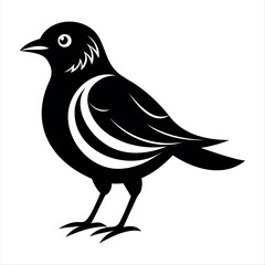 Vector Illustration Silhouette Beautiful Birds collection isolated on a white background
