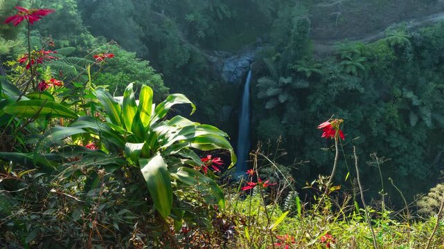 4K timelapse video of waterfalls in Indonesia