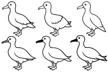 Albatross bird line art illustration