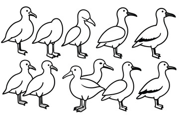 Albatross bird line art illustration