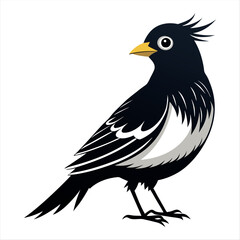 Vector Illustration Silhouette Beautiful Birds collection isolated on a white background