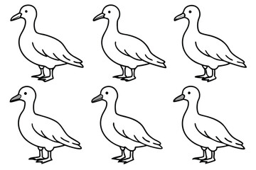 Albatross bird line art illustration