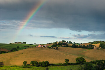 Spring view of landscapes of region Marche near Ancona during sunset. Green waves hills and lone...
