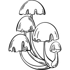 mushroom