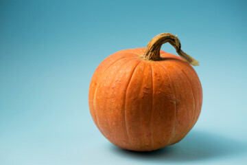 Decorative orange pumpkin on a light blue background