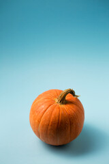 A small orange pumpkin on a light blue background