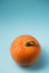 A small orange pumpkin on a blue background