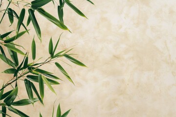 Obraz premium beige background with bamboo leaves