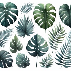 a collection of green plants with leaves and plants.