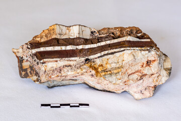A sample of banded iron formation from the Barberton Greenstone belt with a 5cm scale