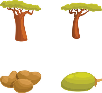 African baobab icons set cartoon vector. Baobab tree and fruit with seed. Powerful tree, exotic plant